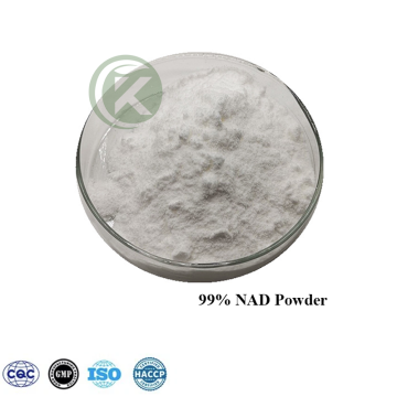 Nicotinamide Adenine Dinucleotide Powder