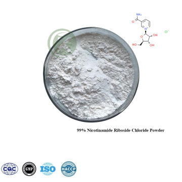 Nicotinamide Riboside Chloride Powder