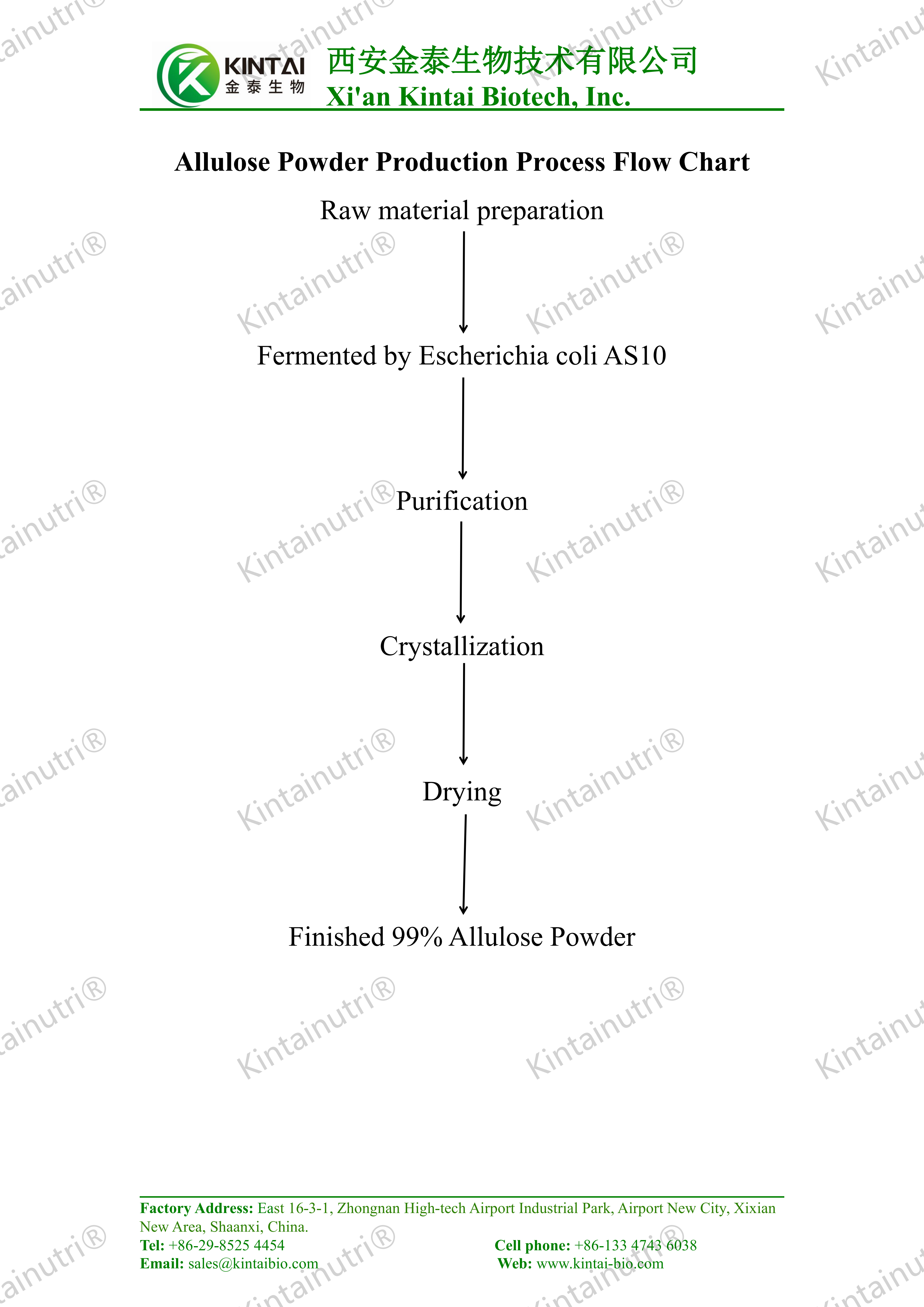 Allulose Powder Production Process Flow Chart_01