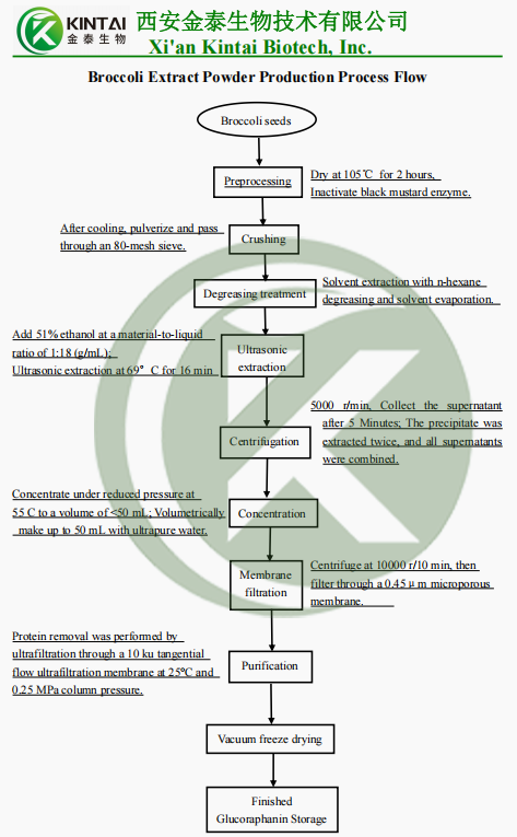 Broccoli Extract Powder Production Process Flow