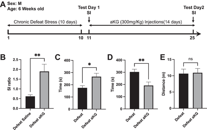 CA AKG For Prevention and anti-depression