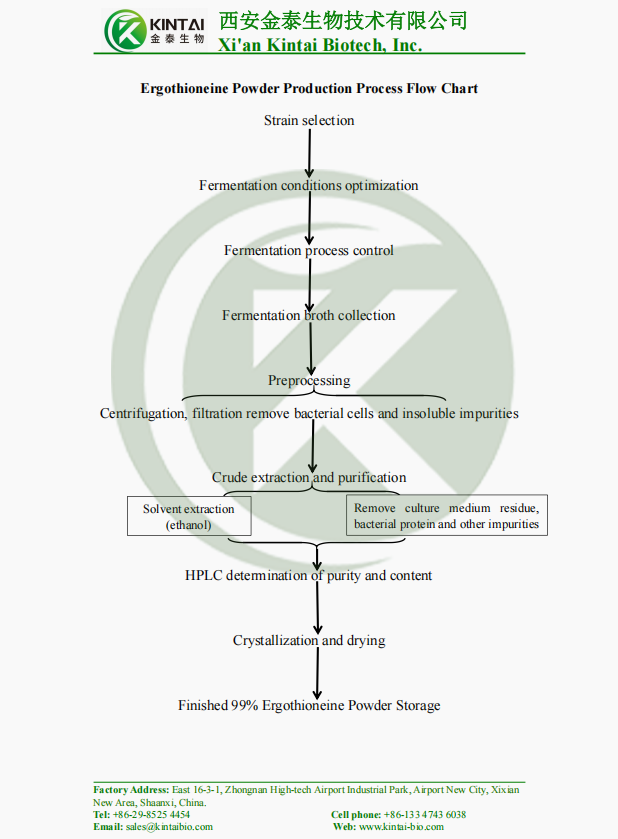 Ergothioneine Powder Production Process Flow Chart