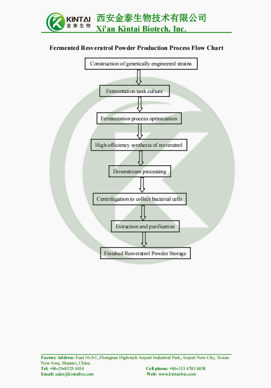 Fermented Resveratrol Powder Production Process Flow Chart