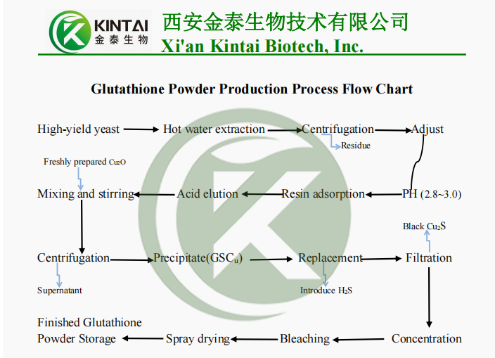 Glutathione Powder Production Process Flow Chart