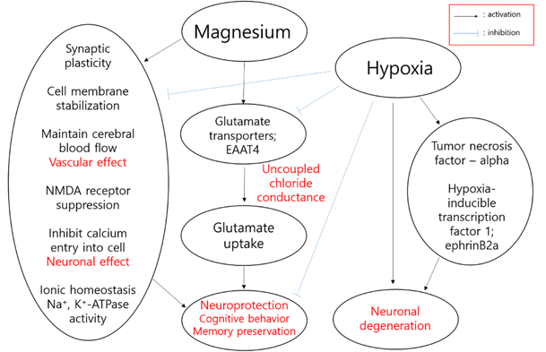 Magnesium L-threonate For Brain Health magnesium l-threonate benefits for brain health
