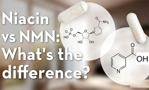 Niacin vs NMN: What's the difference?