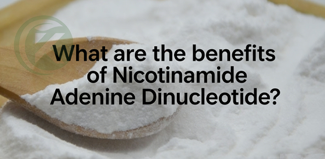 What are the benefits of Nicotinamide Adenine Dinucleotide?
