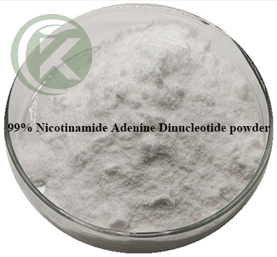 Nicotinamide Adenine Dinucleotide powder