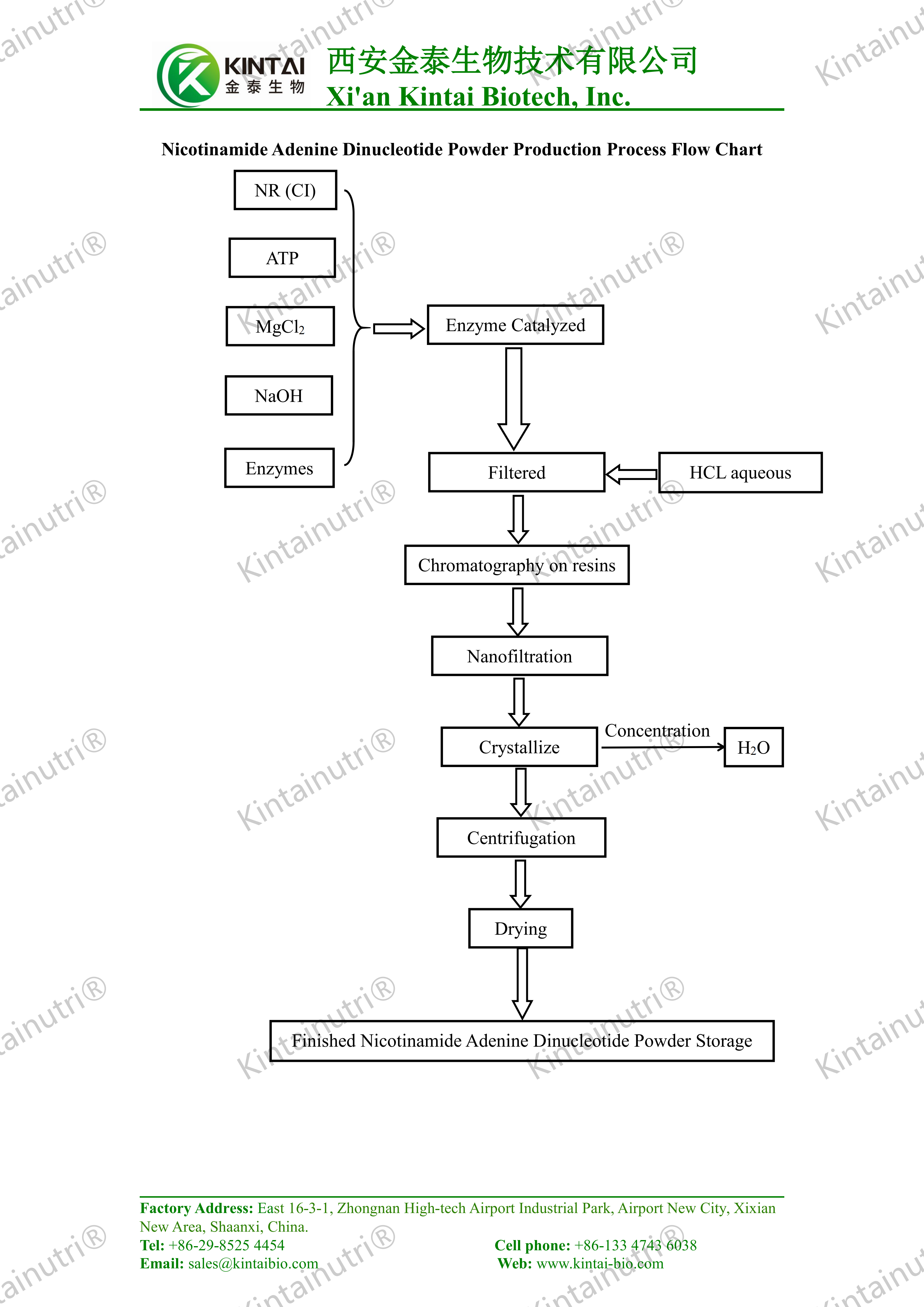 Nicotinamide Adenine Dinucleotide Powder Production Process Flow Chart_01(1)