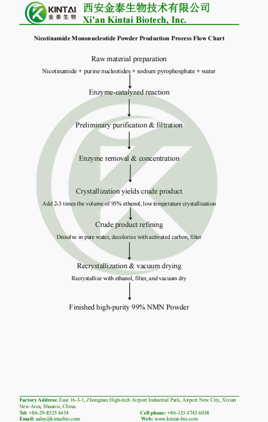 Nicotinamide Mononucleotide Powder Production Process Flow Chart