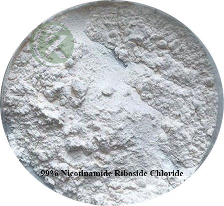 Nicotinamide Riboside Chloride powder