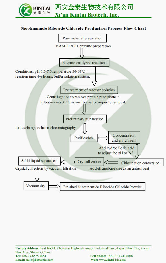 Nicotinamide Riboside Chloride Production Process Flow Chart