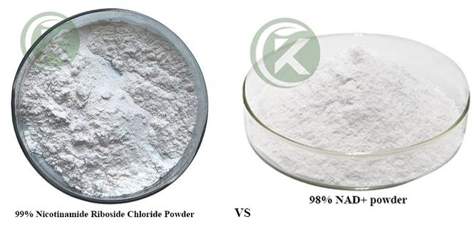 Nicotinamide Riboside Chloride VS Nicotinamide Adenine Dinucleotide