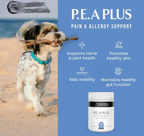 Palmitoylethanolamide Dogs