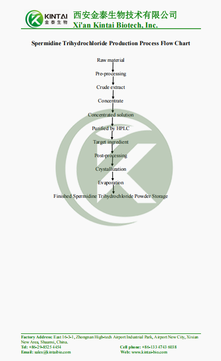 Spermidine Trihydrochloride Production Process Flow Chart
