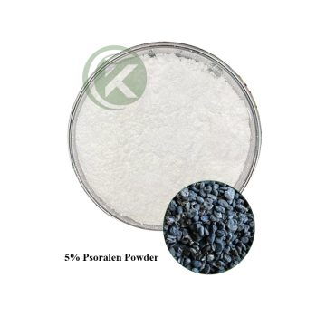 Psoralea Corylifolia Seed Extract Psoralen Powder