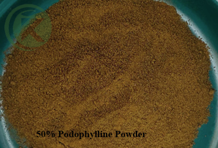 50% Podophylline