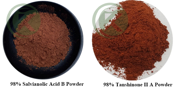 98% Salvia Extract Powder
