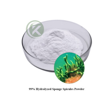 Hydrolyzed Sponge Spicules Powder
