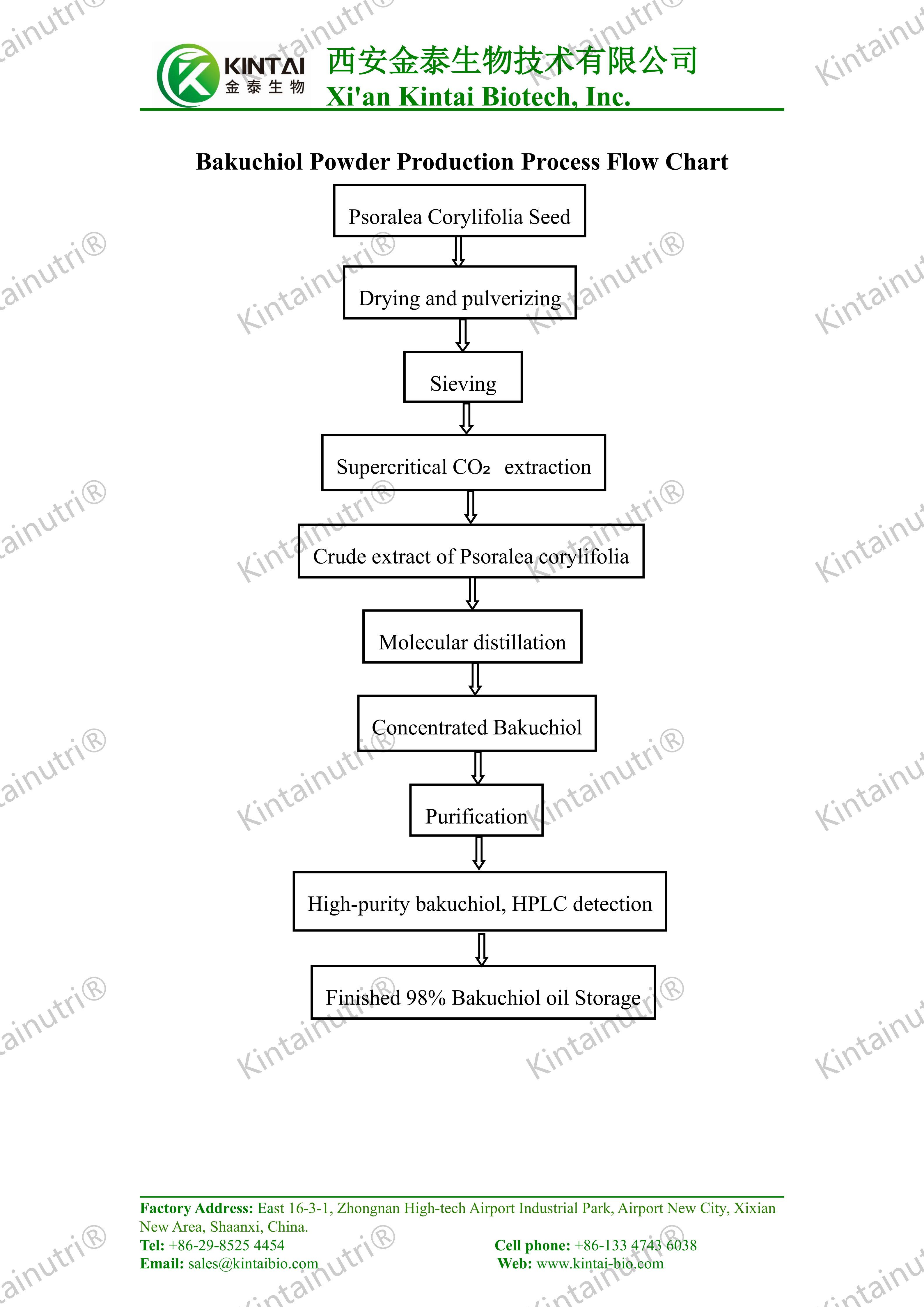 Bakuchiol Powder Production Process Flow Chart_01 Bakuchiol Powder Production Process Flow Chart_01