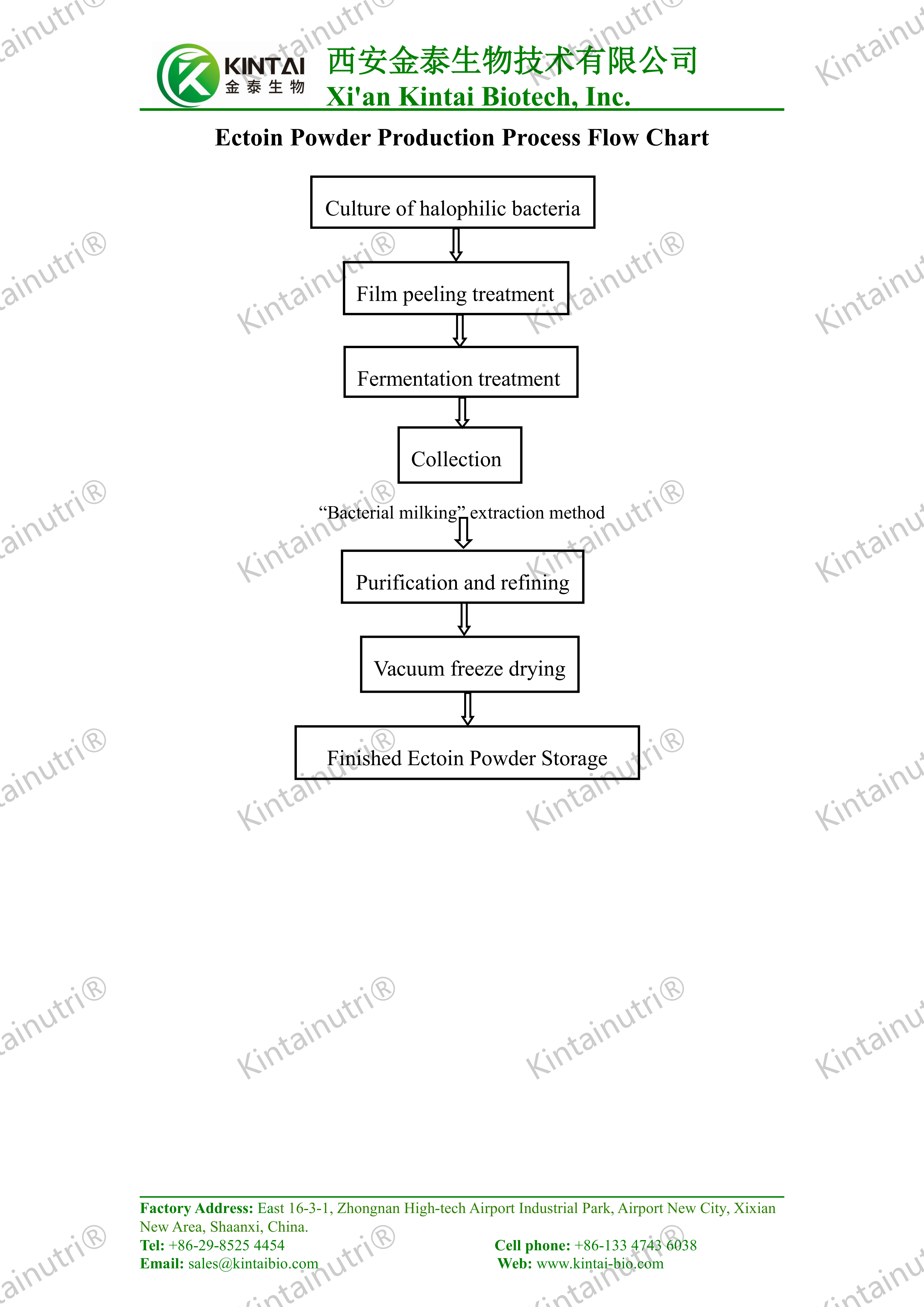 Ectoin Powder Production Process Flow Chart_01