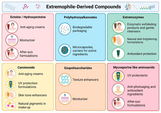 Ectoine powder for skin