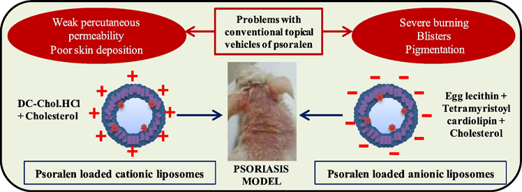 Psoralen for the treatment of vitiligo and psoriasis