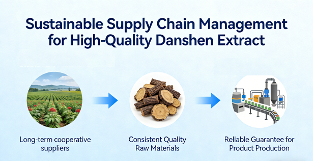 Salvia Extract Powder supply stability