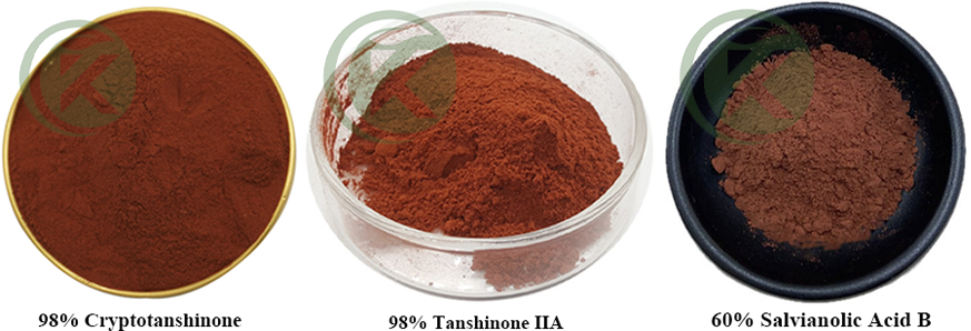salvia extract powder