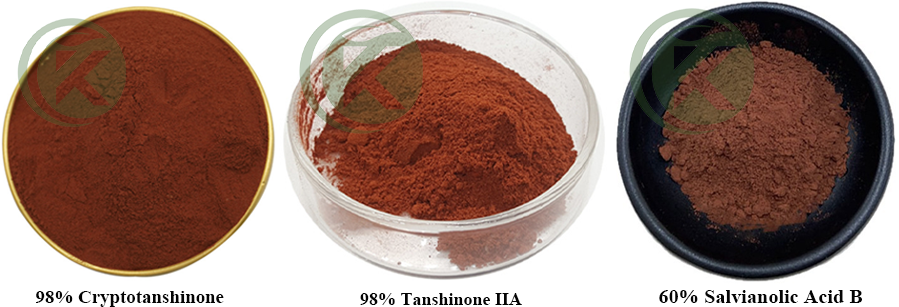 Salvia Miltiorrhiza Root Extract Powder photo