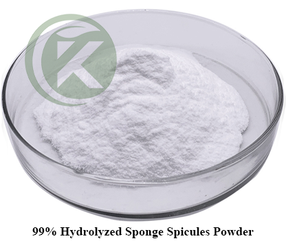 Sponge Spicules Powder Sponge Spicules Powder