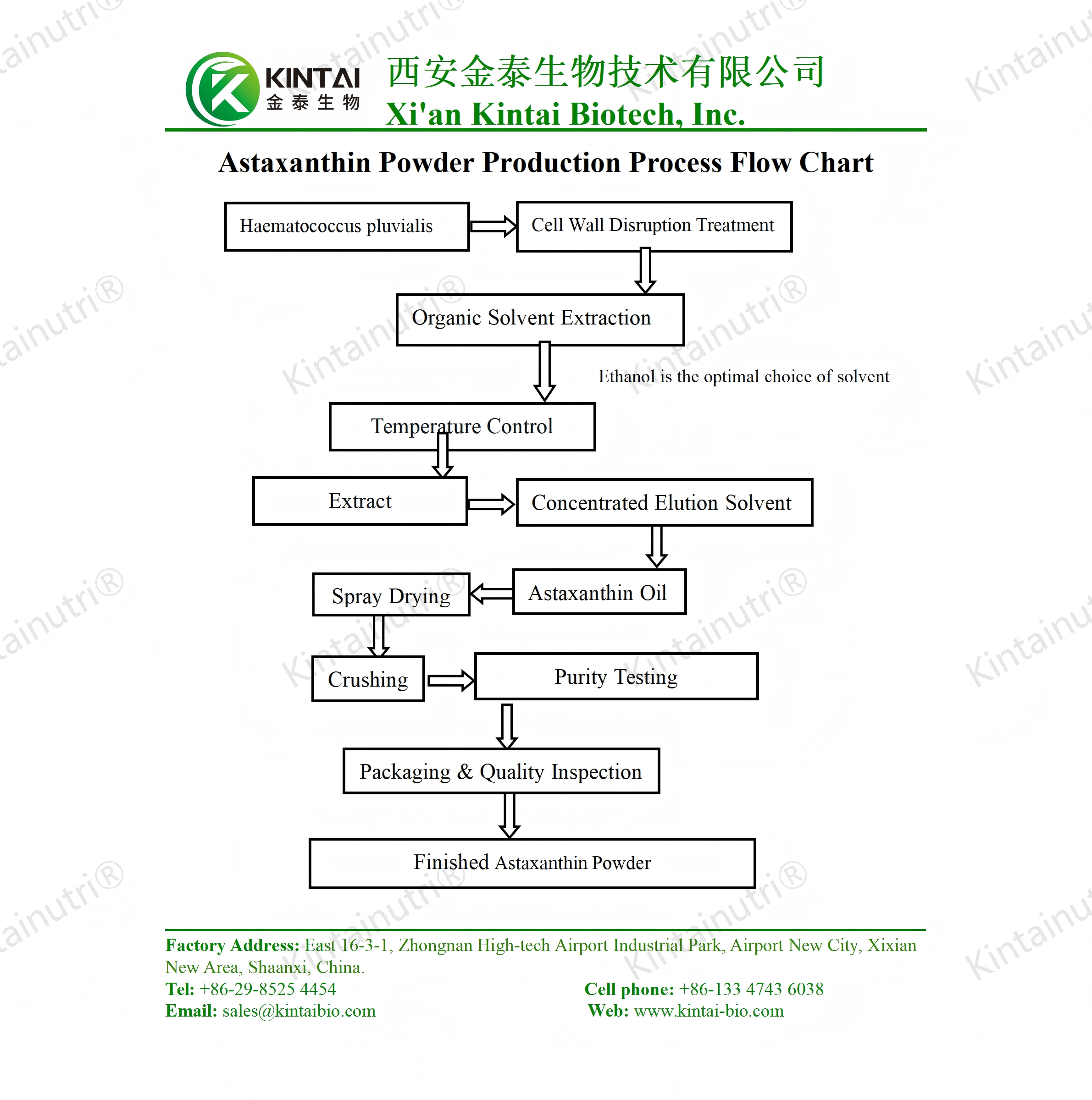 Astaxanthin Powder Production Process Flow Chart