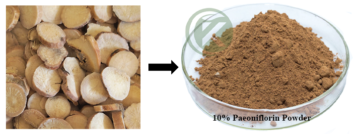10% Bubuk Paeoniflorin