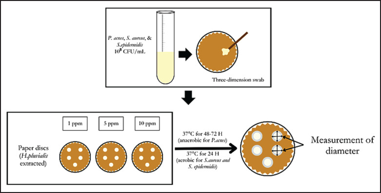 A disc diffusion assay of H