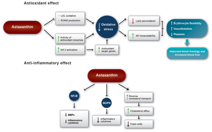 Astaxanthin And Inflammation