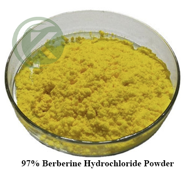 poudre de chlorhydrate de berbérine