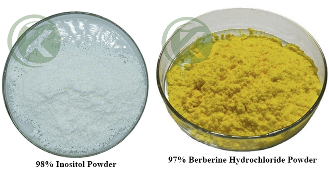 chlorhydrate d'inositol et de berbérine
