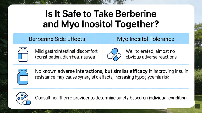 Est-il sans danger de prendre de la berbérine et du myo-inositol ensemble ?