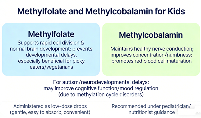 Methylfolate and methylcobalamin for kids