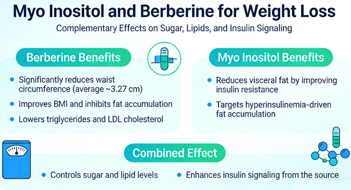 Myo-inositol et berbérine combinés pour la perte de poids