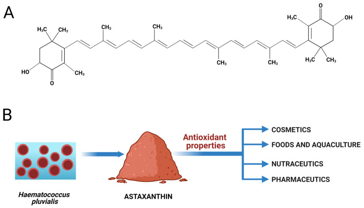 The Many Uses of Haematococcus pluvialis