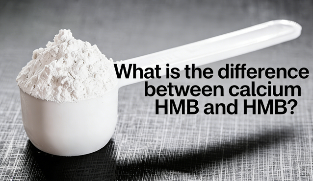 What is the difference between calcium HMB and HMB?