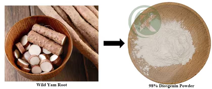 wild yam root extract powder
