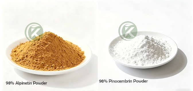 Alpinia Katsumadai active ingredients