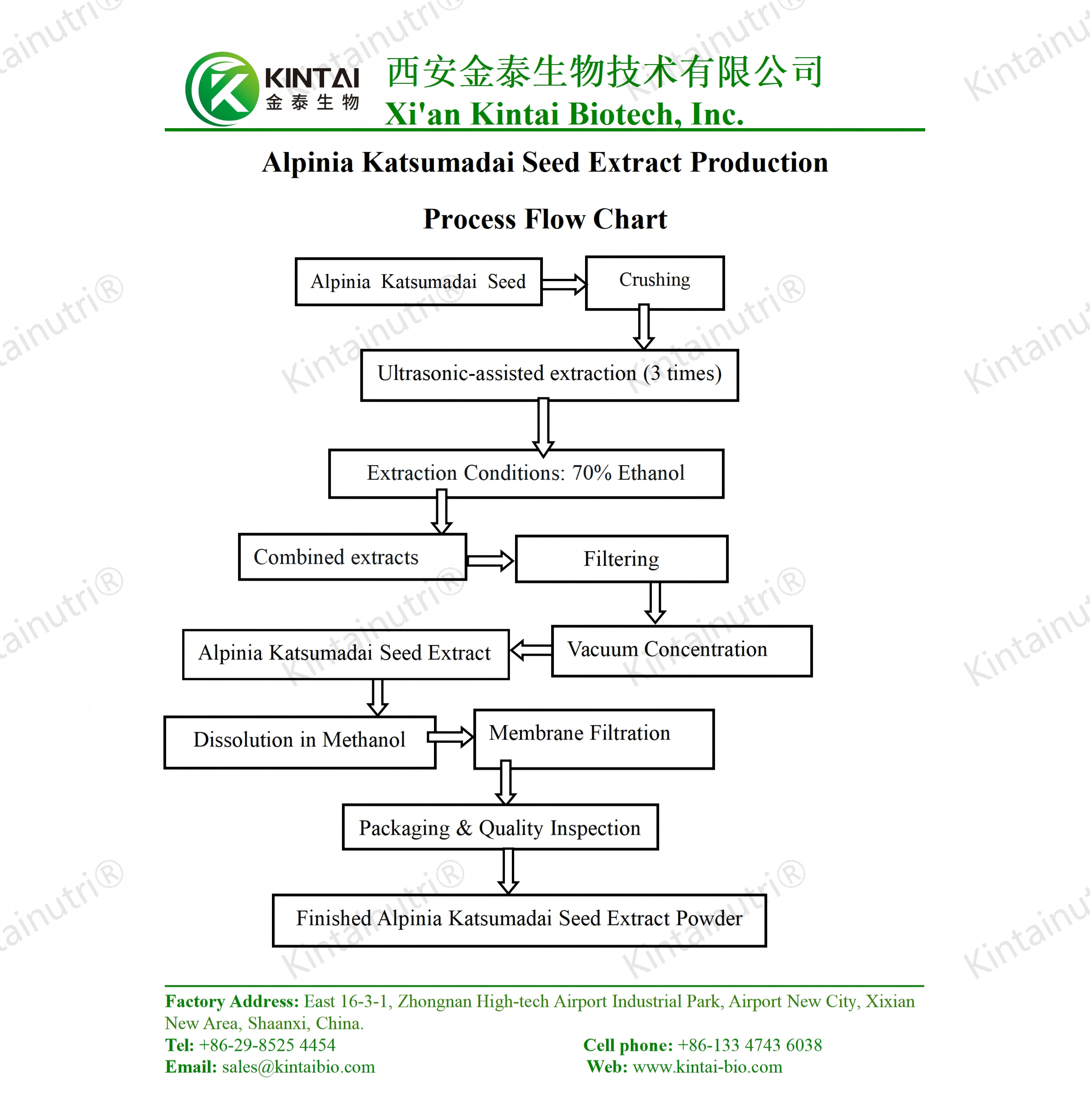 Alpinia Katsumadai Seed Extract Powder Production Process Flow Chart_01 Alpinia Katsumadai Seed Extract Powder Production Process Flow Chart_01
