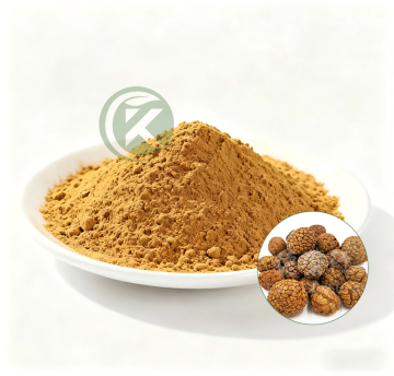 Alpinia Katsumadai Seed Extract Powder