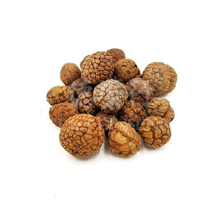 Alpiniae-Katsumadai Seed.jpg
