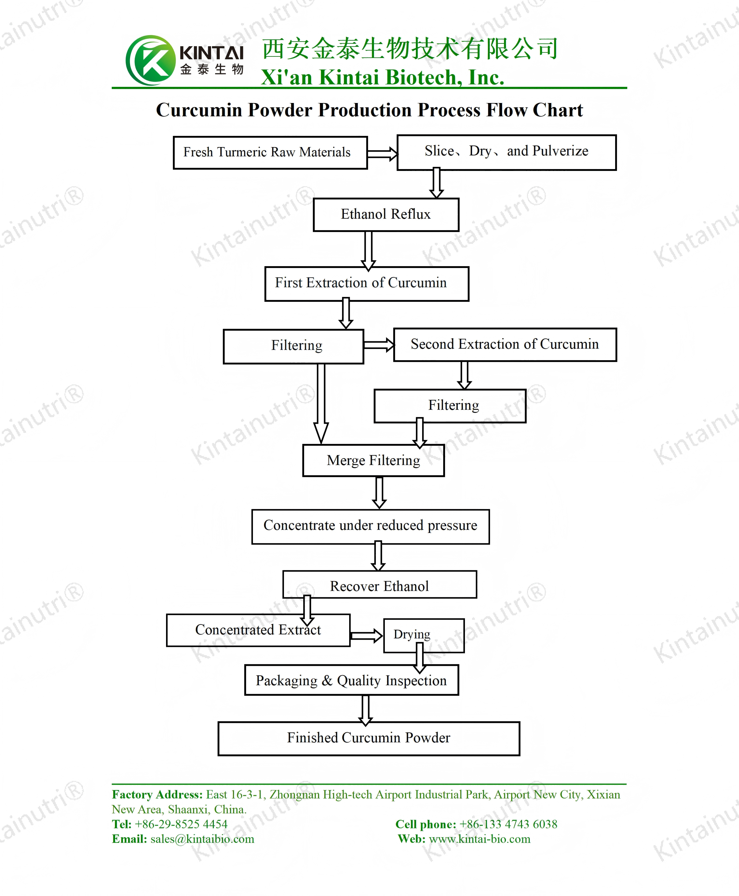 Curcuma Longa Turmeric Root Extract Curcumin Powder Production Process Flow Chart_01