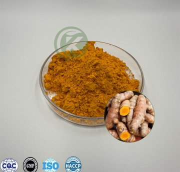 Curcuma Longa Turmeric Root Extract Curcumin Powder