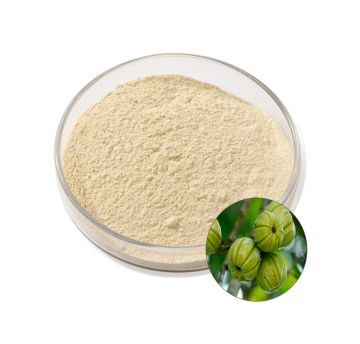 Garcinia Cambogia Extract Hydroxycitric Acid Powder